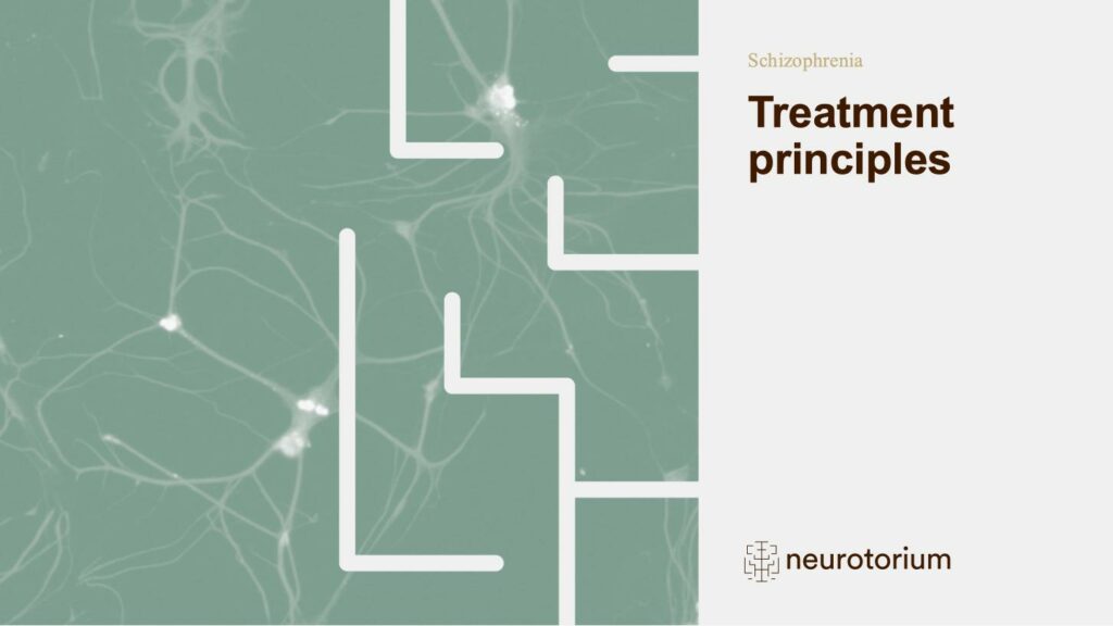 Schizophrenia - Treatment-Principles - slide 1